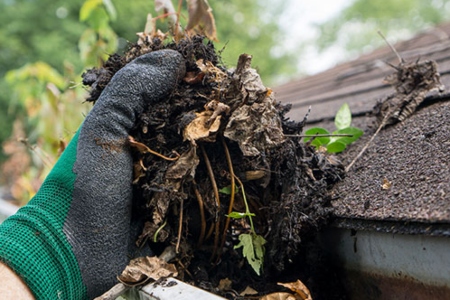 Gutter Cleaning