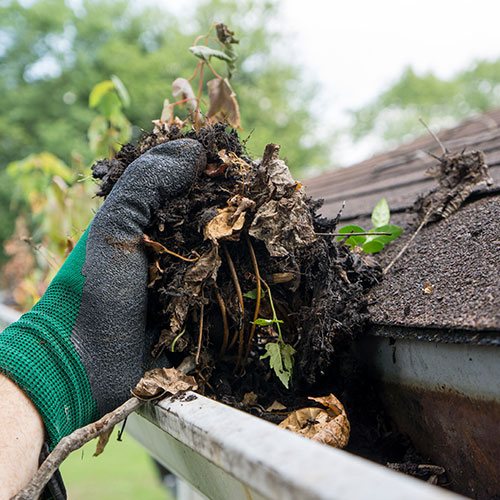 Gutter Cleaning Service Image